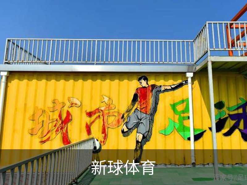 新球体育概况